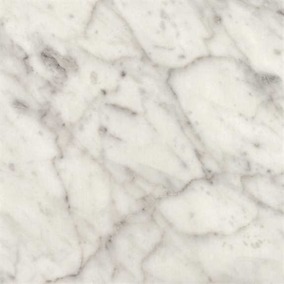12-FT Carrara Bianco Top